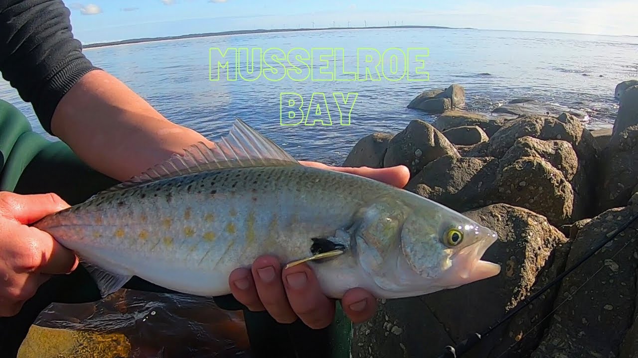 SALMON FISHING! | MUSSELROE BAY