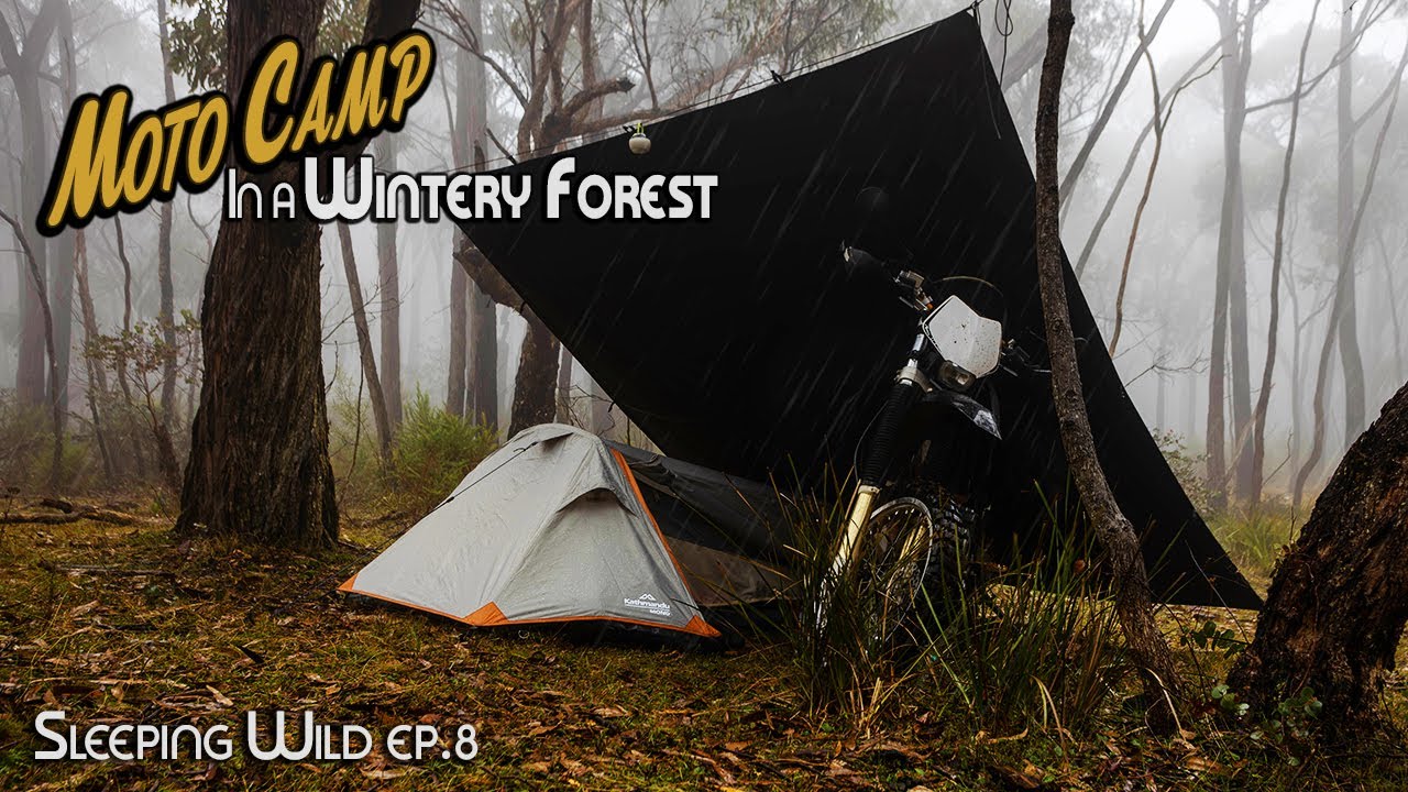 Motorcycle Camping Solo In A Wintery Forest | Silent Vlog | Sleeping Wild Ep.8