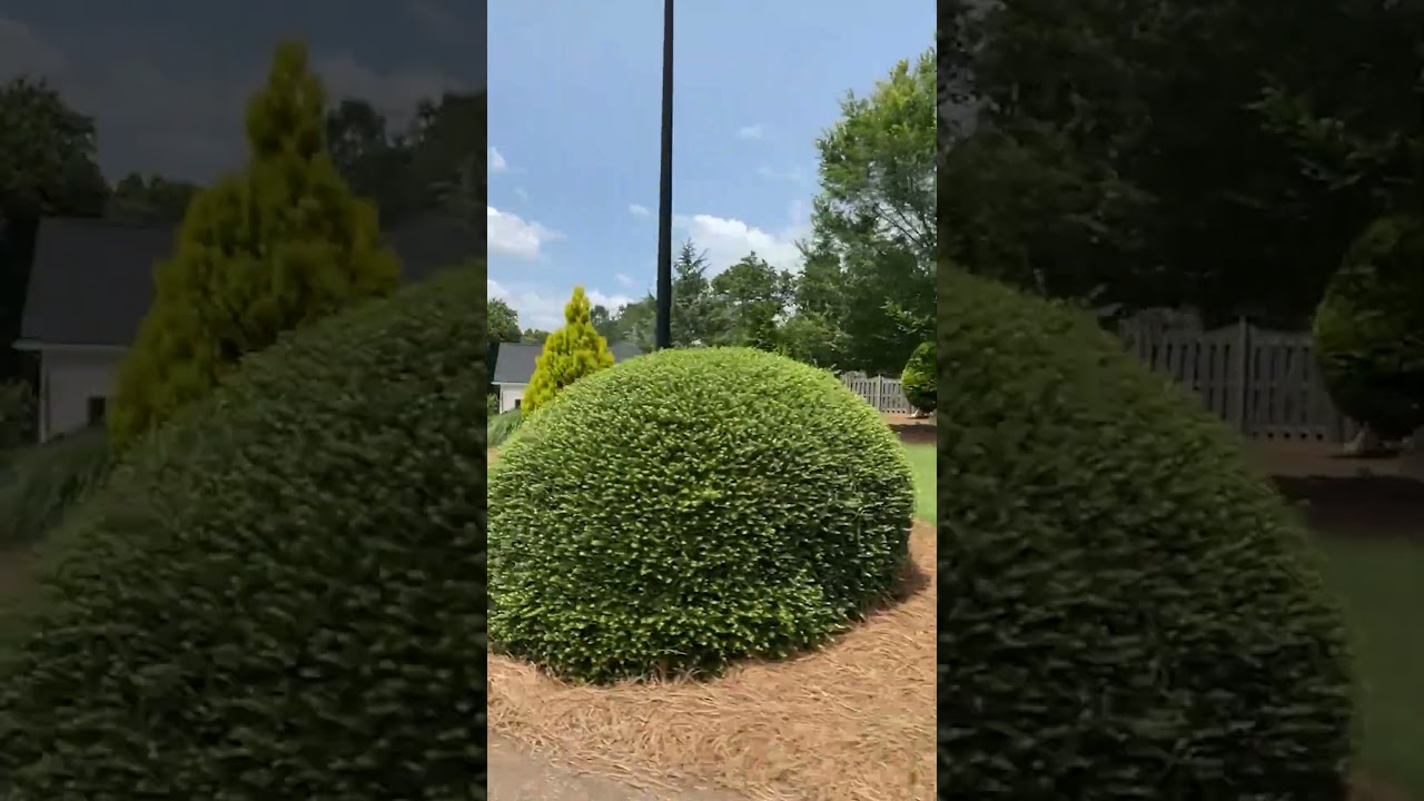 Ivey Falls part 1 | Neighborhoods in the 500s | Moving to Cumming GA