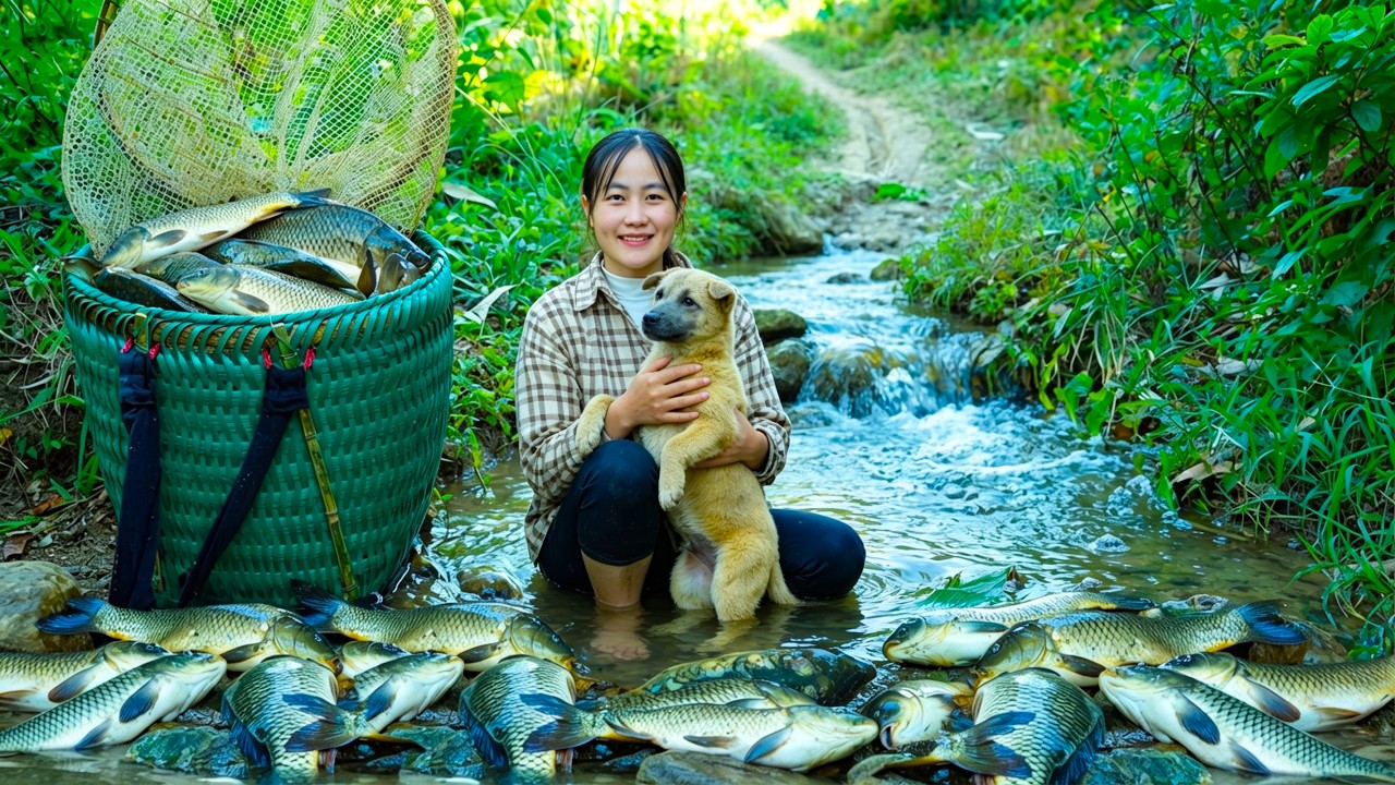 Single Mother Survives in the Wild with Her Bamboo Fish Traps and Amazing Fishing Skills. Daily Life
