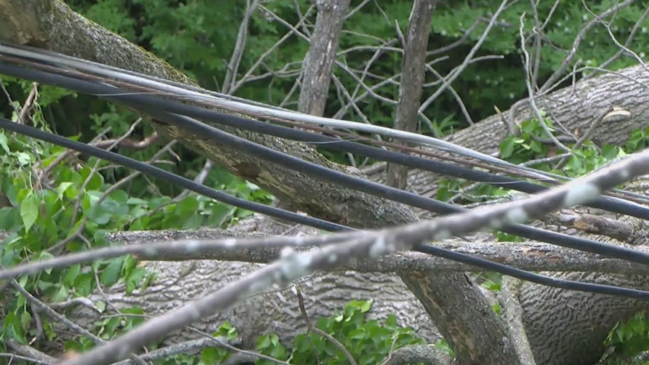 Perinton residents say falling dead ash trees a safety concern, urge town to act