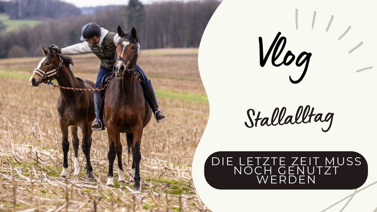 Die letzte Zeit noch nutzen , solange es noch geht