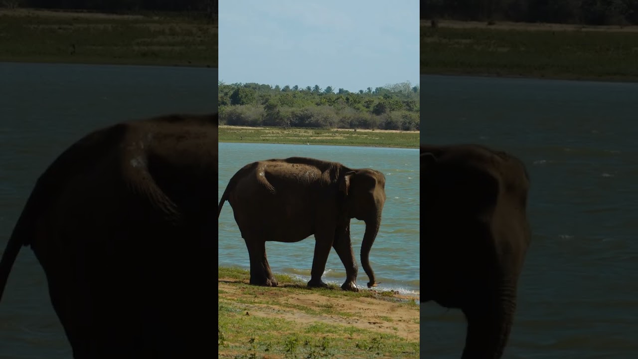 Sri Lanka 2025