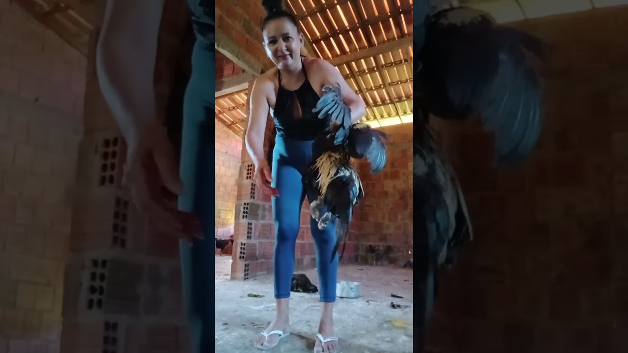 Olha mais 1, mesmo eles na  casas 🏠