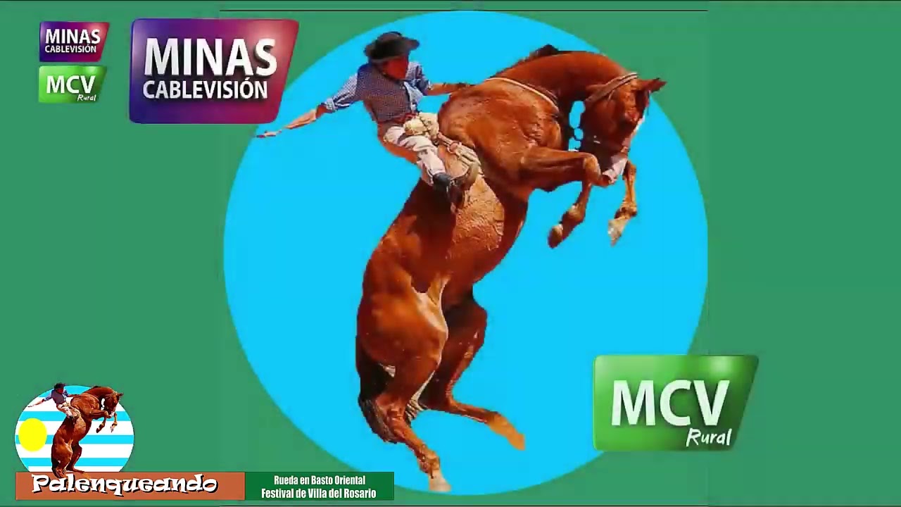 programa 14 de febrero de 2026