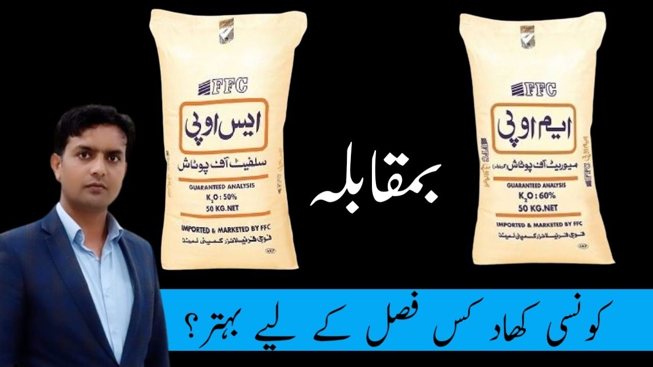 SOP Vs MOP Fertilizers | Difference between SOP and MOP Fertilizers | Dr. Jamil Shafi | Plant Clinic