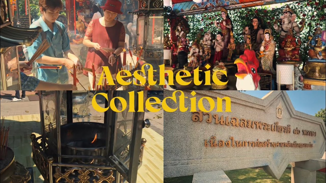 Aesthetic Collection 