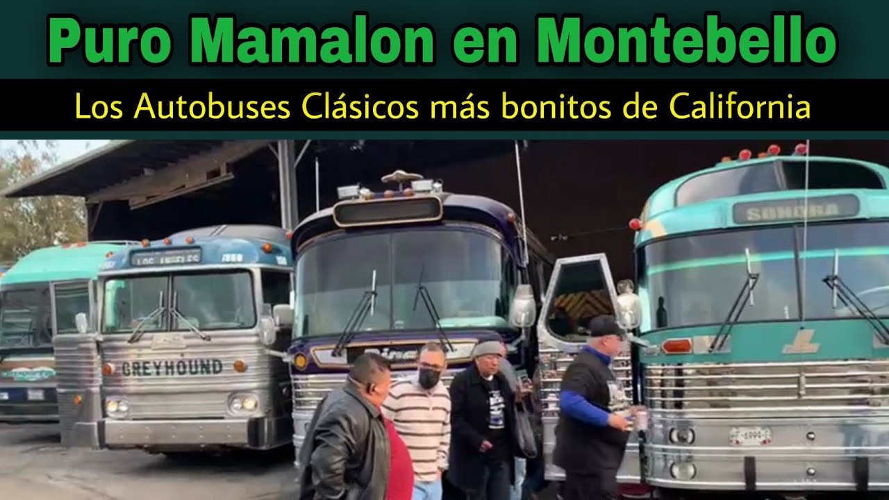 Clásicos perrones en Montebello California