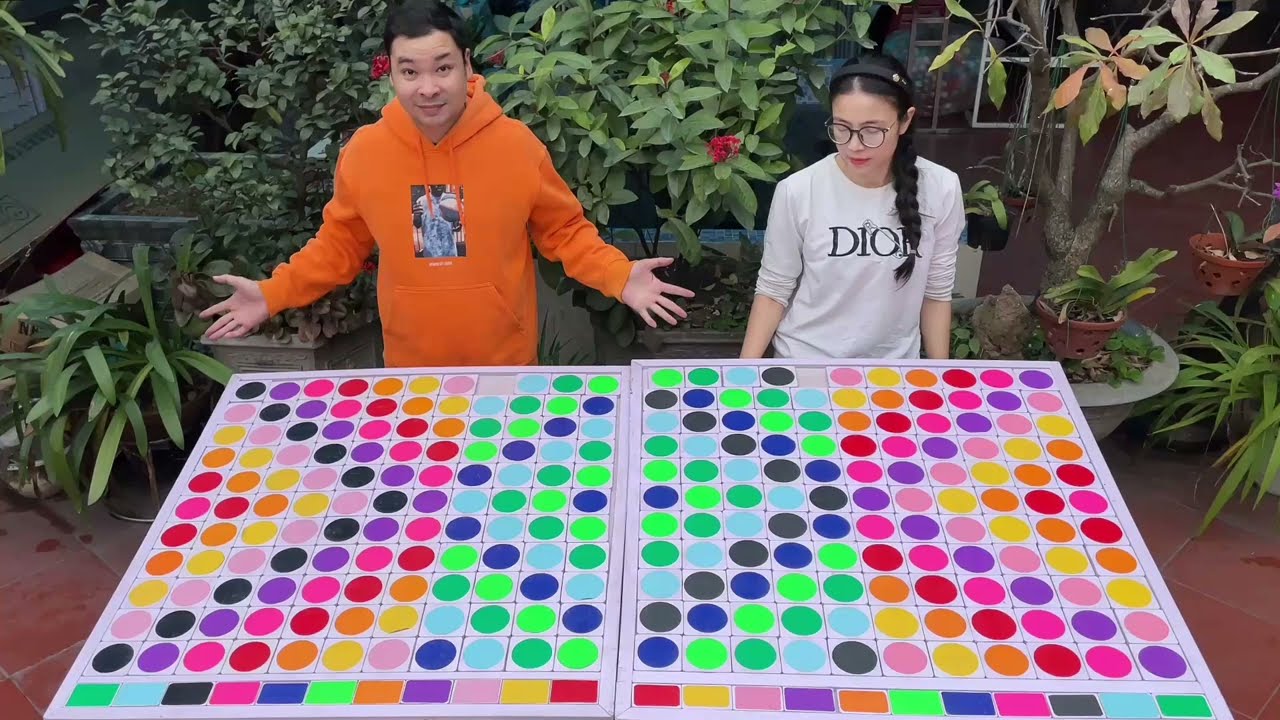 Puzzle sort ball game challenge hard mode