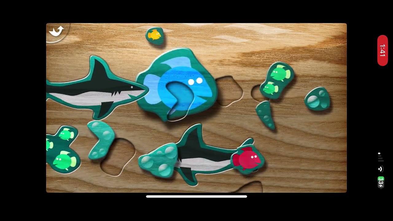 A&R Entertainment Animated Puzzle