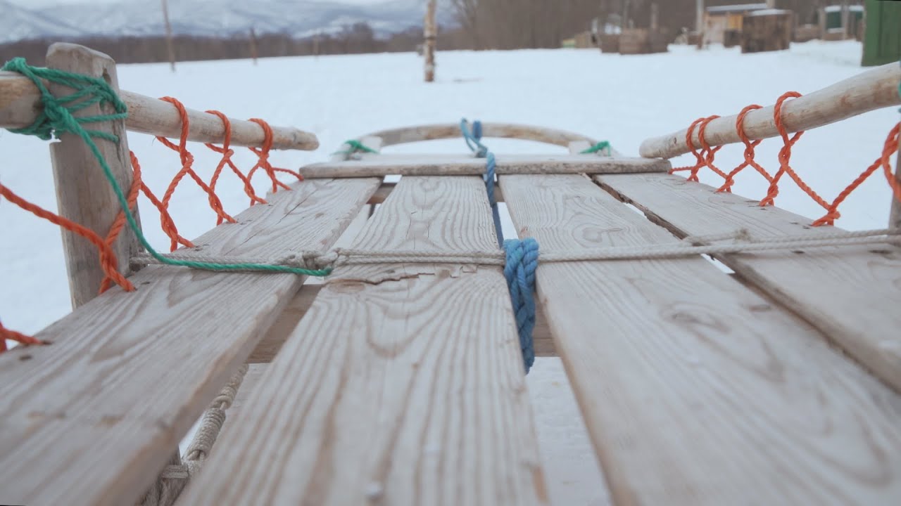 На гонку на традиционных нартах