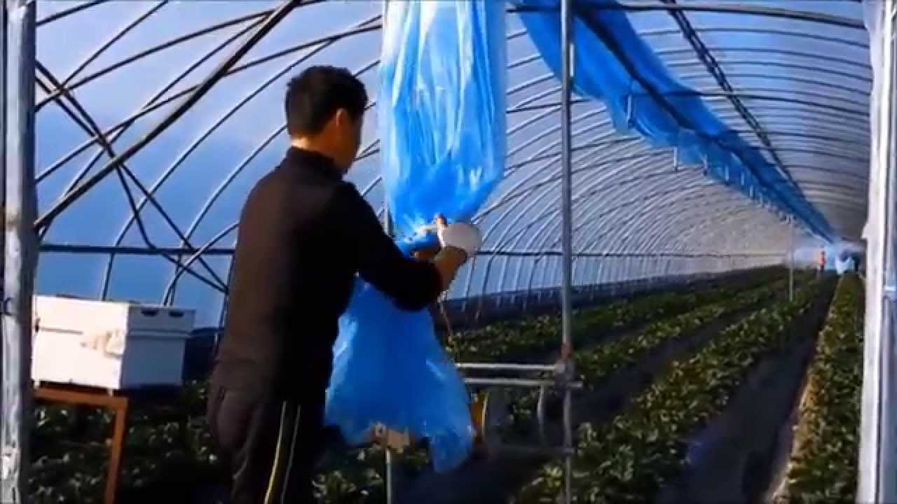 비닐설치