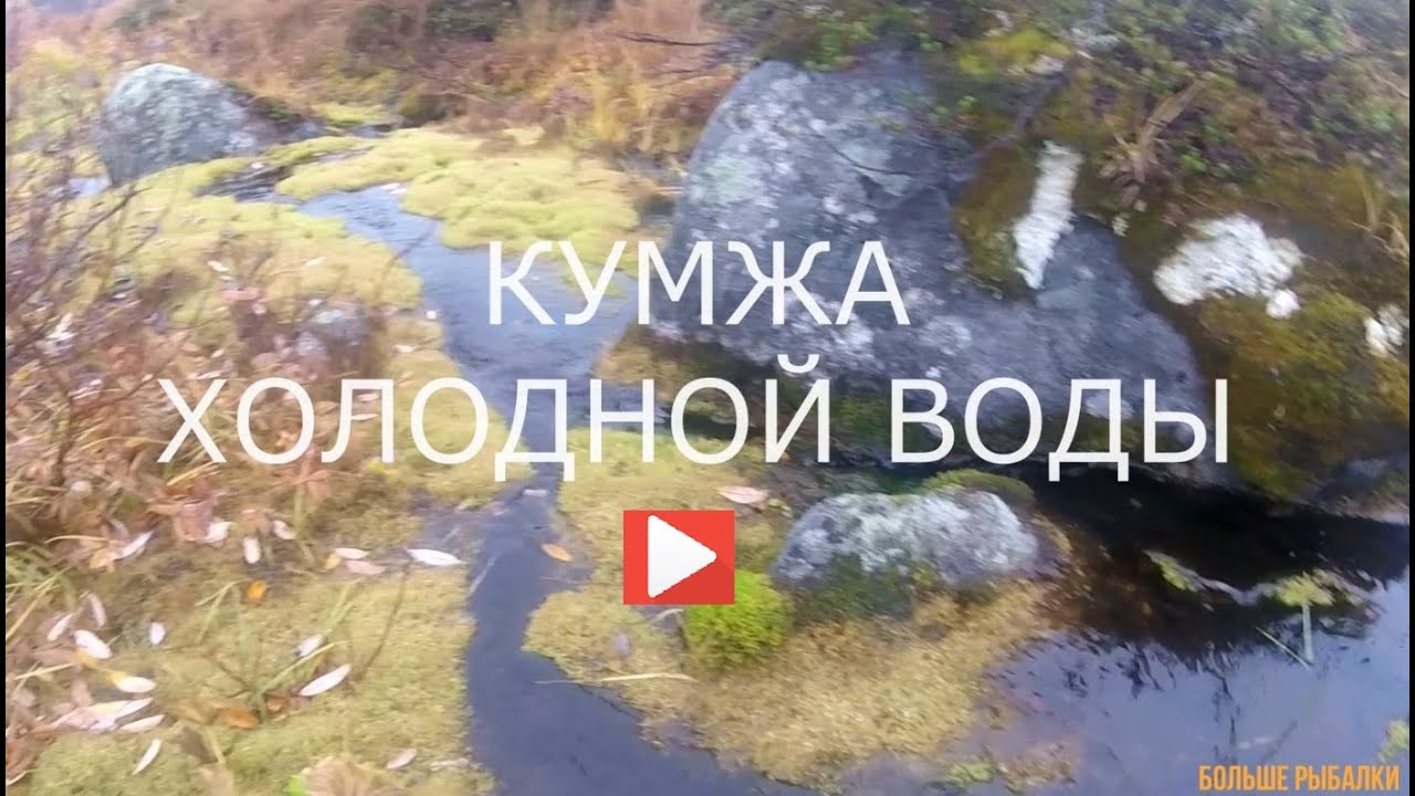 КУМЖА в октябре | Я всё-таки её нашёл | Brown trout in autumn