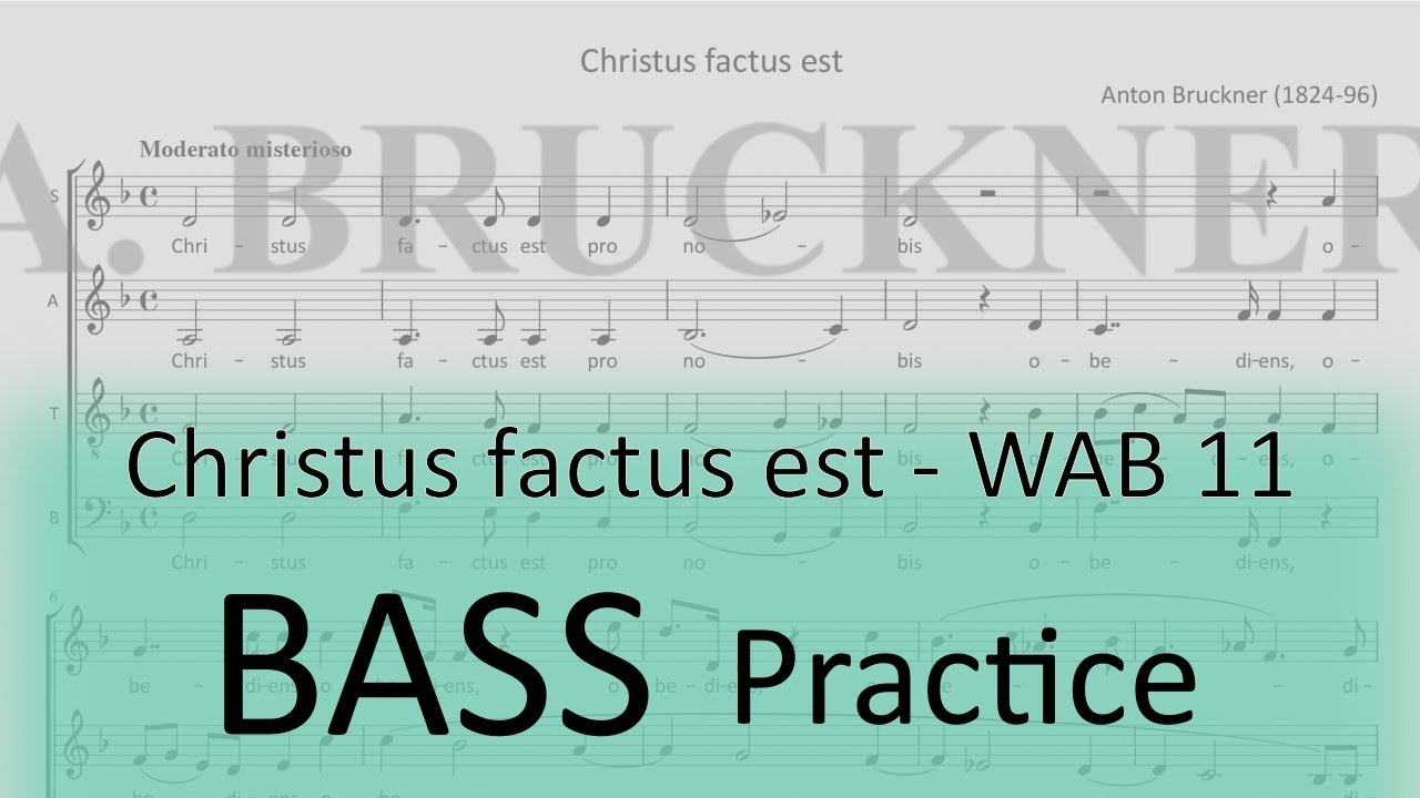 Bruckner WAB 11 (Christus factus est) - Bass practice