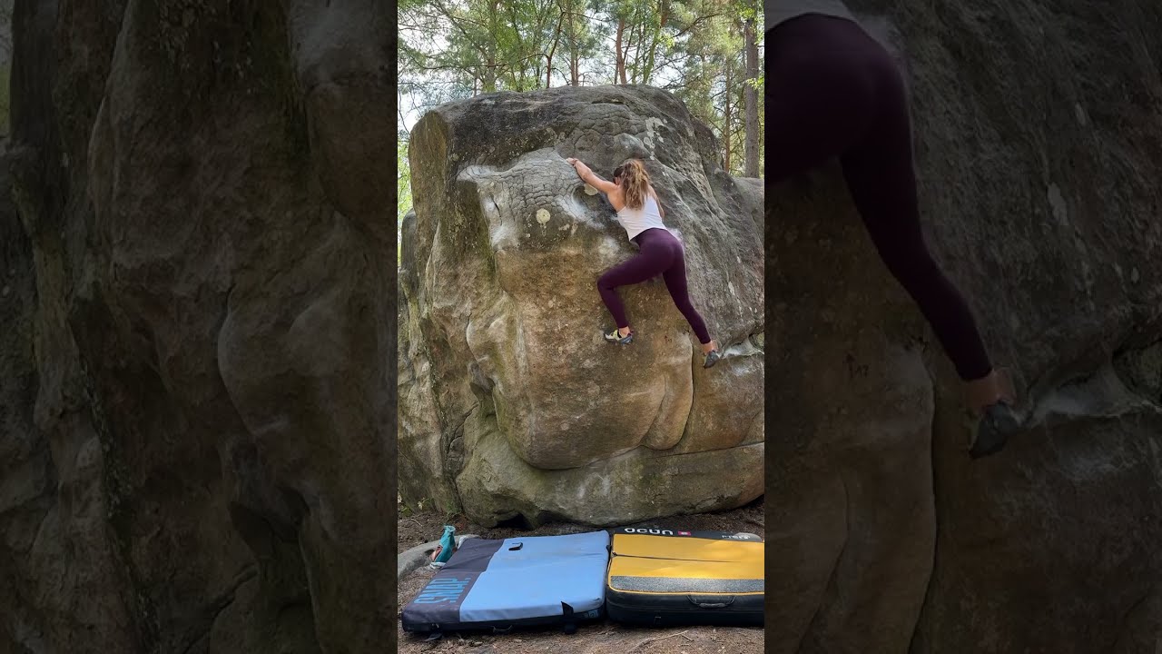La longue jeunesse, 7a. Fontainebleau