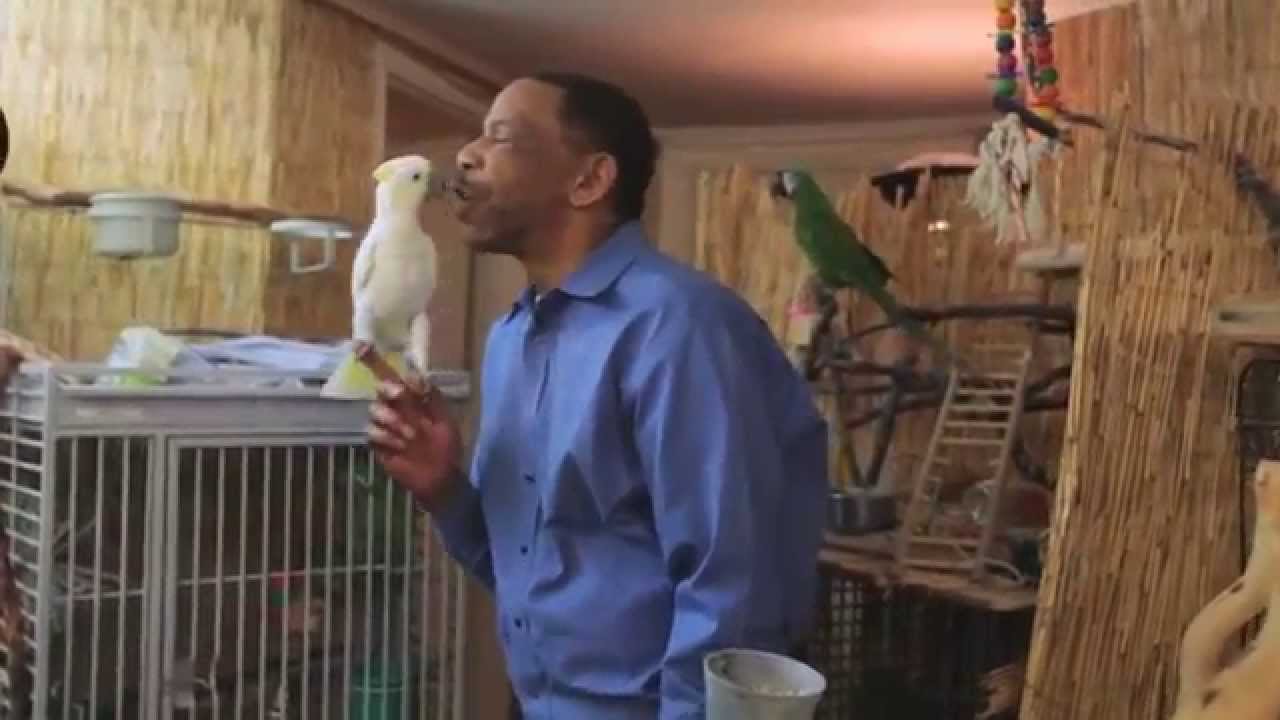 Northwest Parrot Rescue Part 1