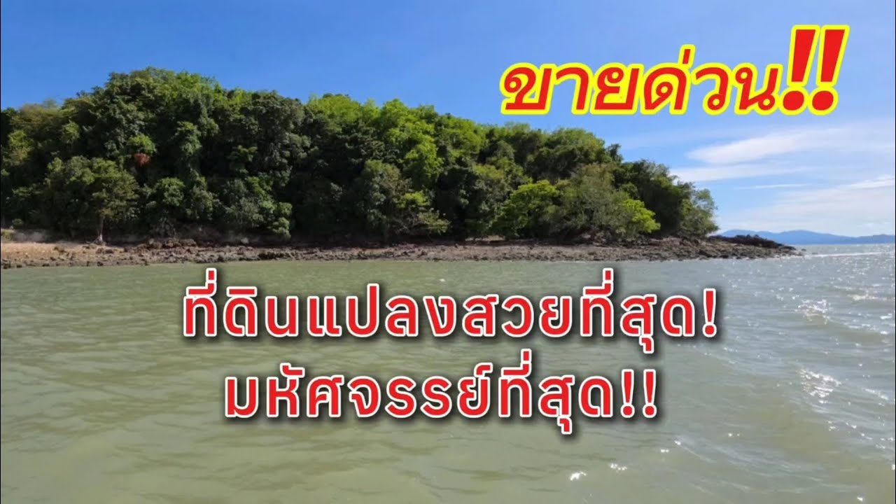 ขายด่วน ที่ดินติดทะเล