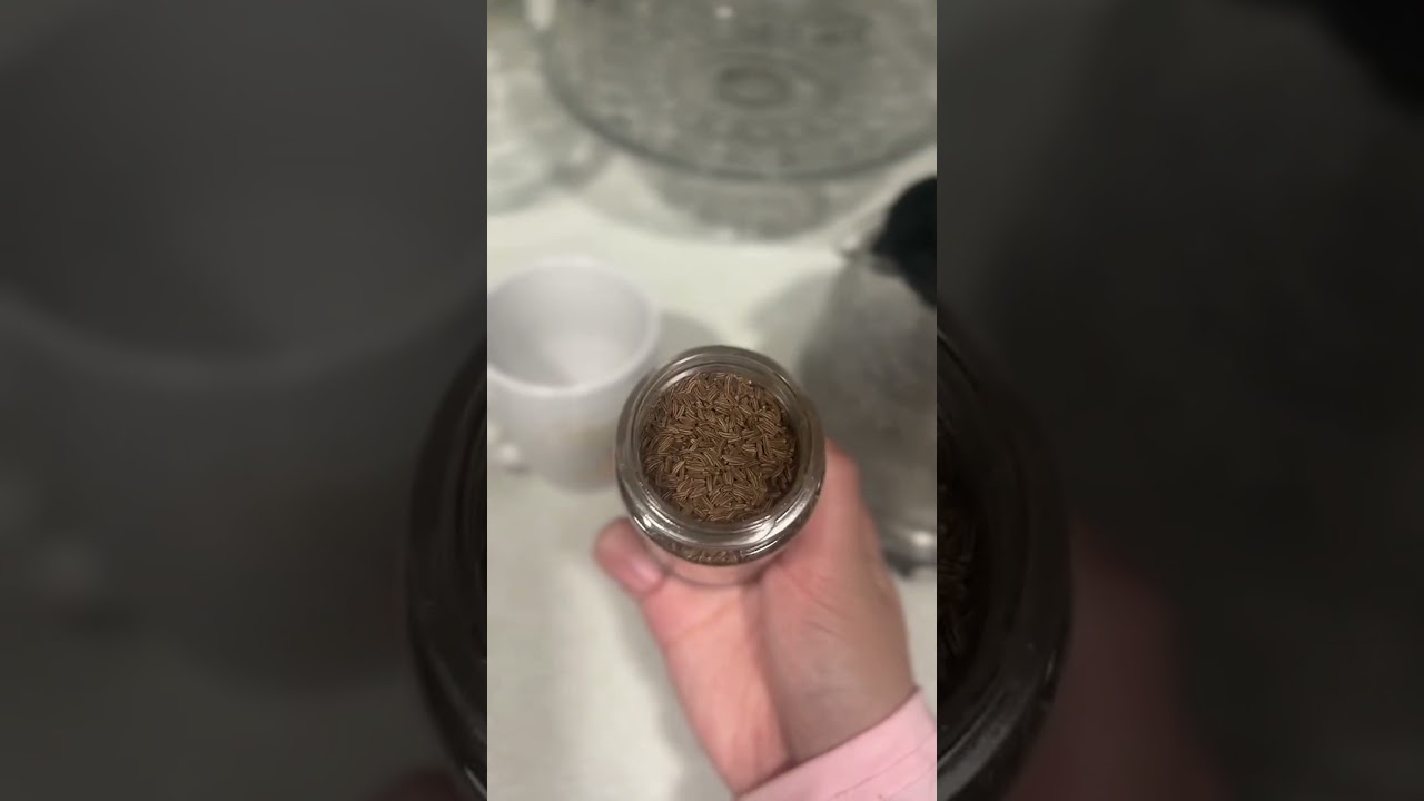 Soothe your stomach naturally with this amazing tea #carawayseeds