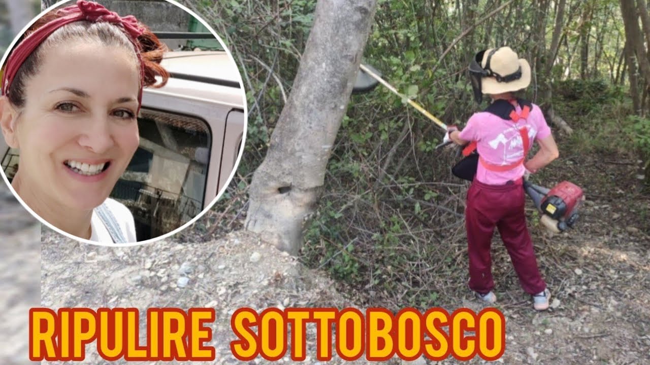 Pulizia perfetta del SOTTOBOSCO con pochi strumenti⚠️Maximize Your Efficiency cleaning Undergrowth