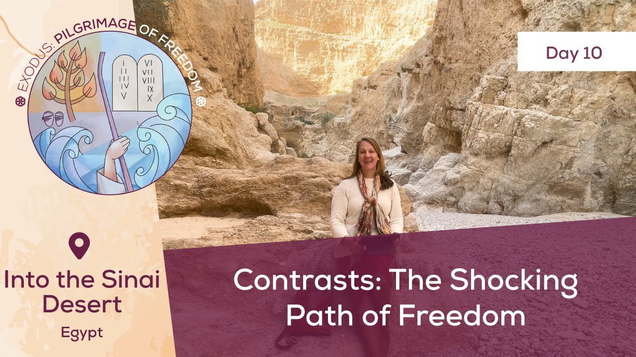 Day 10: Contrasts: The Shocking Path of Freedom📍Sinai Desert |Exodus:Pilgrimage of Freedom |Magdala