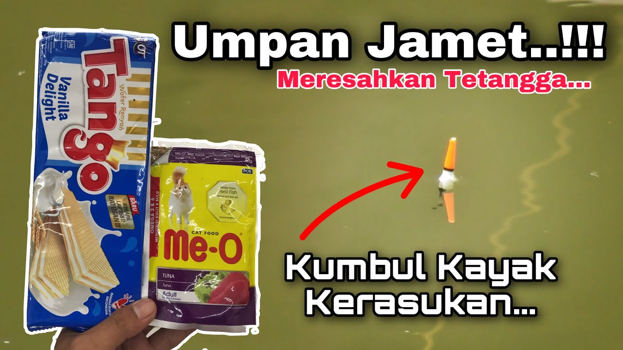 Umpan JAMET Gacor Bikin Kumbul Ngetrik Cantik | Umpan Ikan Mas Harian Simpel