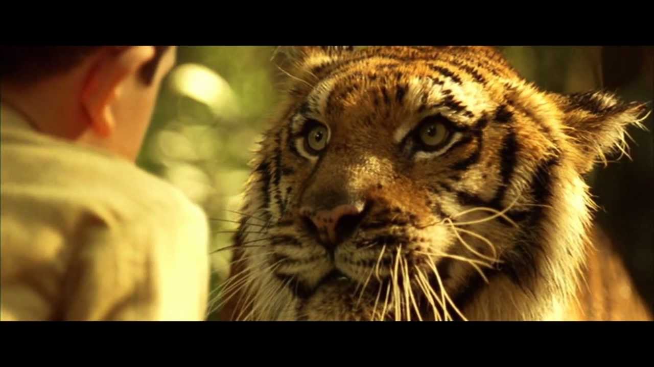 Multifandom of animals - Stay With Me
