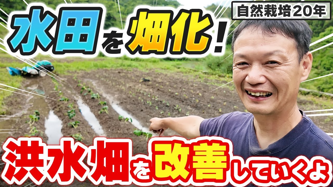 【自然栽培354】水田を畑化！耕作放棄地を開拓過程お見せします！