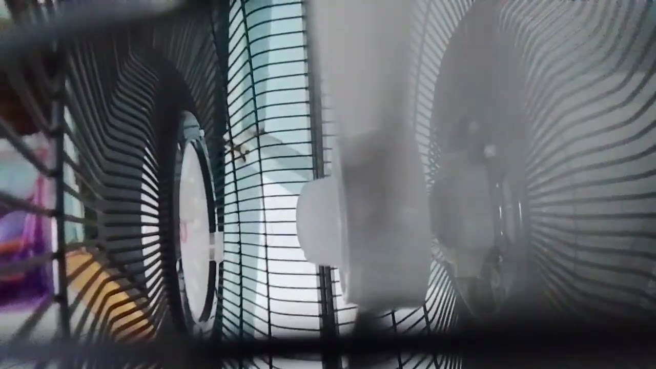 Review cosmos 16 SN stand fan