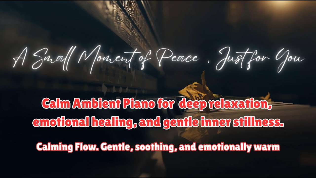 1 Hour | A Small Moment of Peace, Just for You  | Healing Calm for Stress & Anxiety | #relaxingmusic