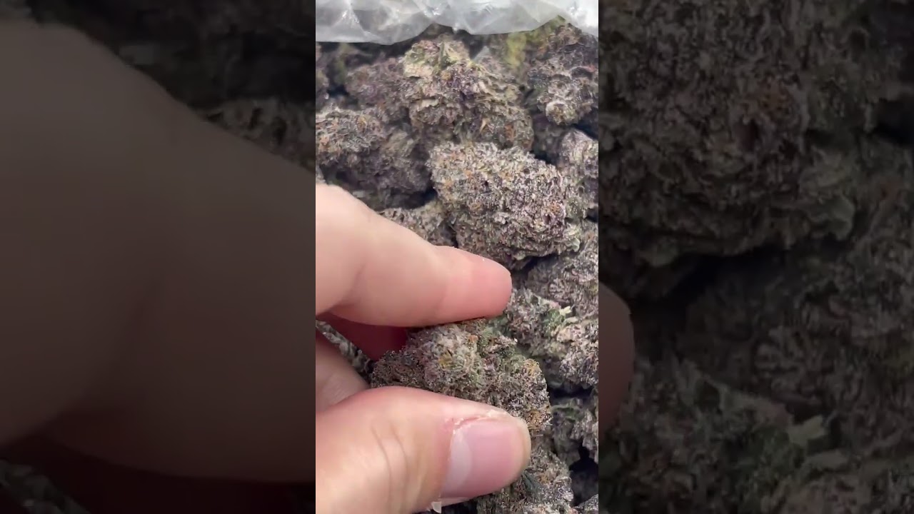 How to buy weed online Nitro Runtz, New Runtz on deck 🔥
