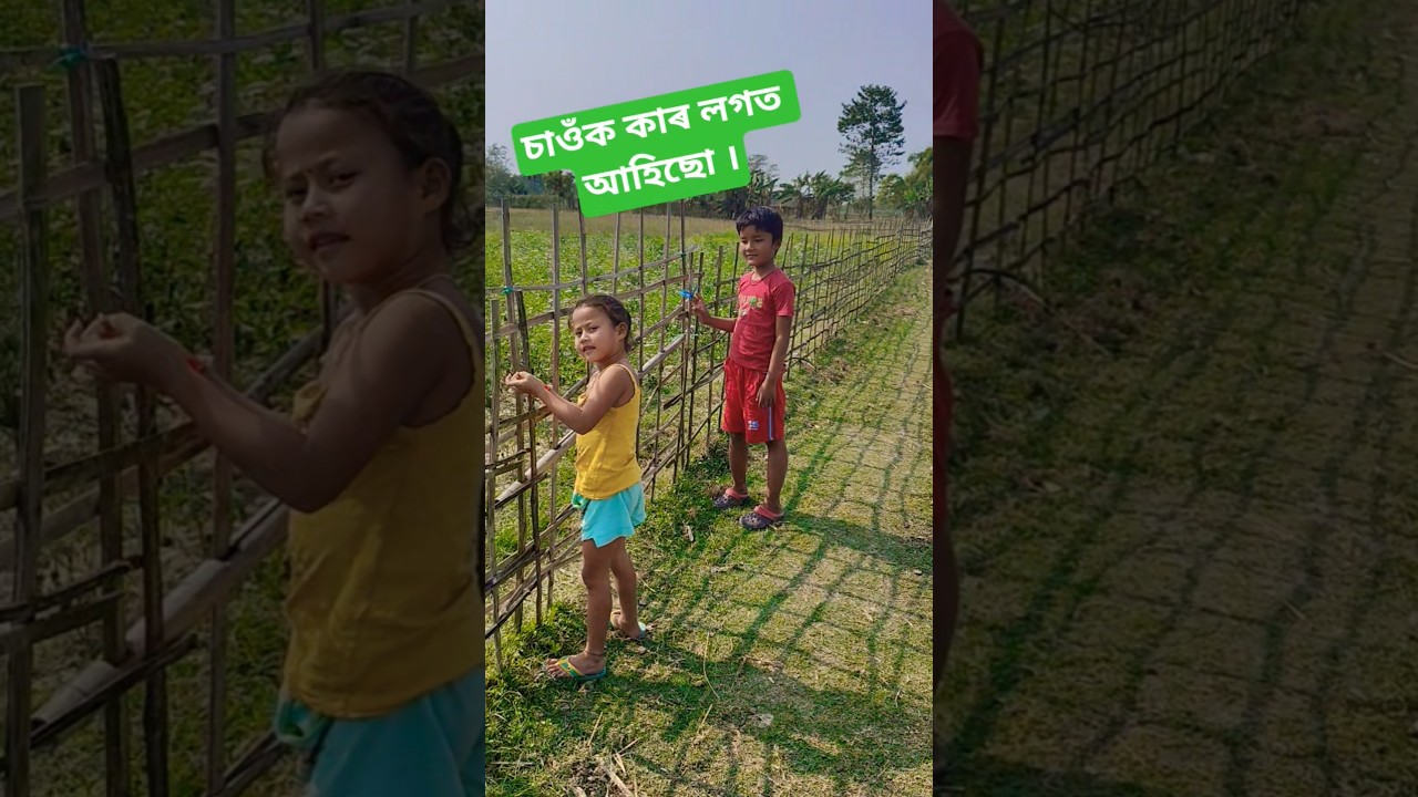 কাৰ লগত আহিলো চাওঁক #ranuscreator #vlog