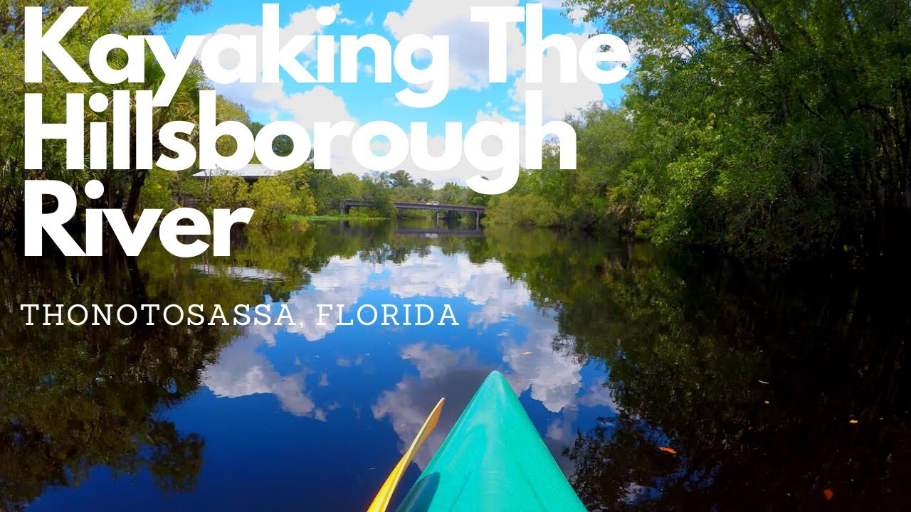 Kayaking The Hillsborough River   4K