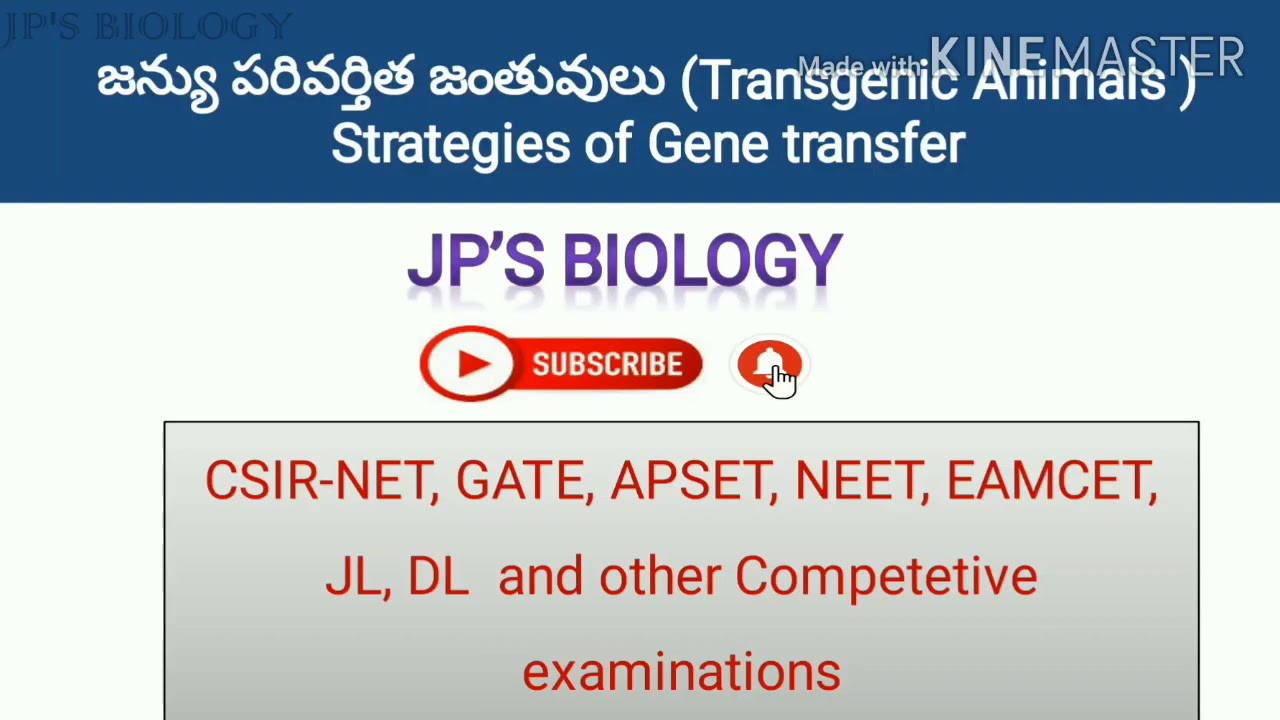 Transgenic animals- Strategies of gene transfer