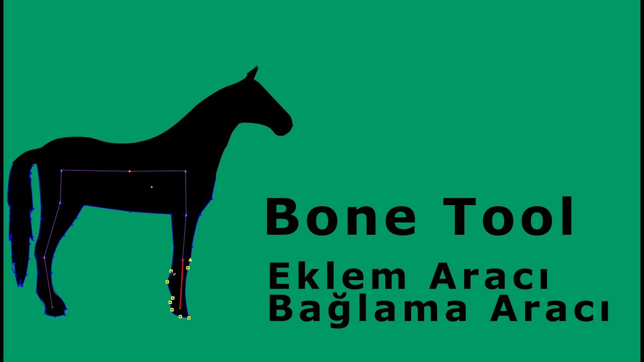 Adobe Animate Ders 11 - Eklem(Kemik) Aracı (Bone Tool) 2/3