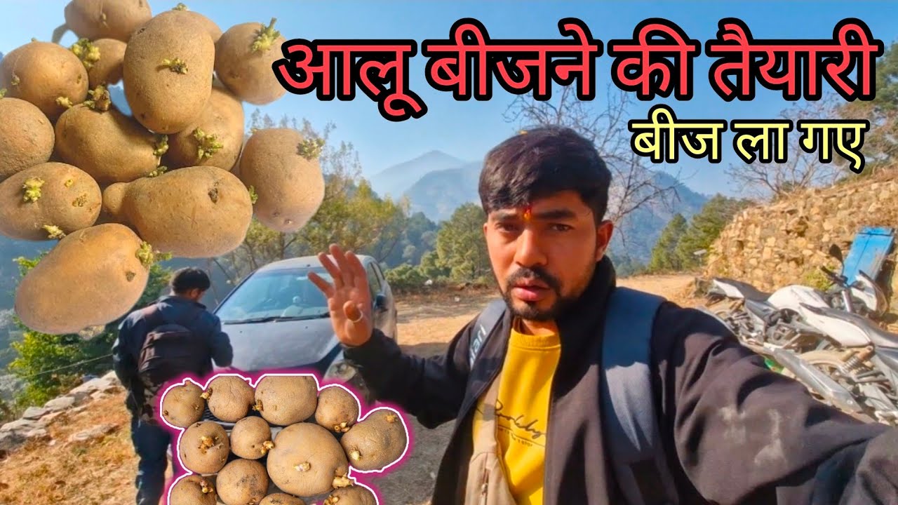 आलू बीज भी ला गए आज । अब से हर दिन बहुत काम करना पड़ेगा । @pushkar_karayat 