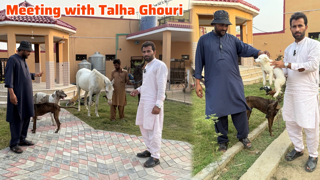 Bahlu sy Milne Talha Ghouri k pas aya 🏠 Meeting With Talha Ghouri vlogs 🏡 Pets Lover in Punjab 
