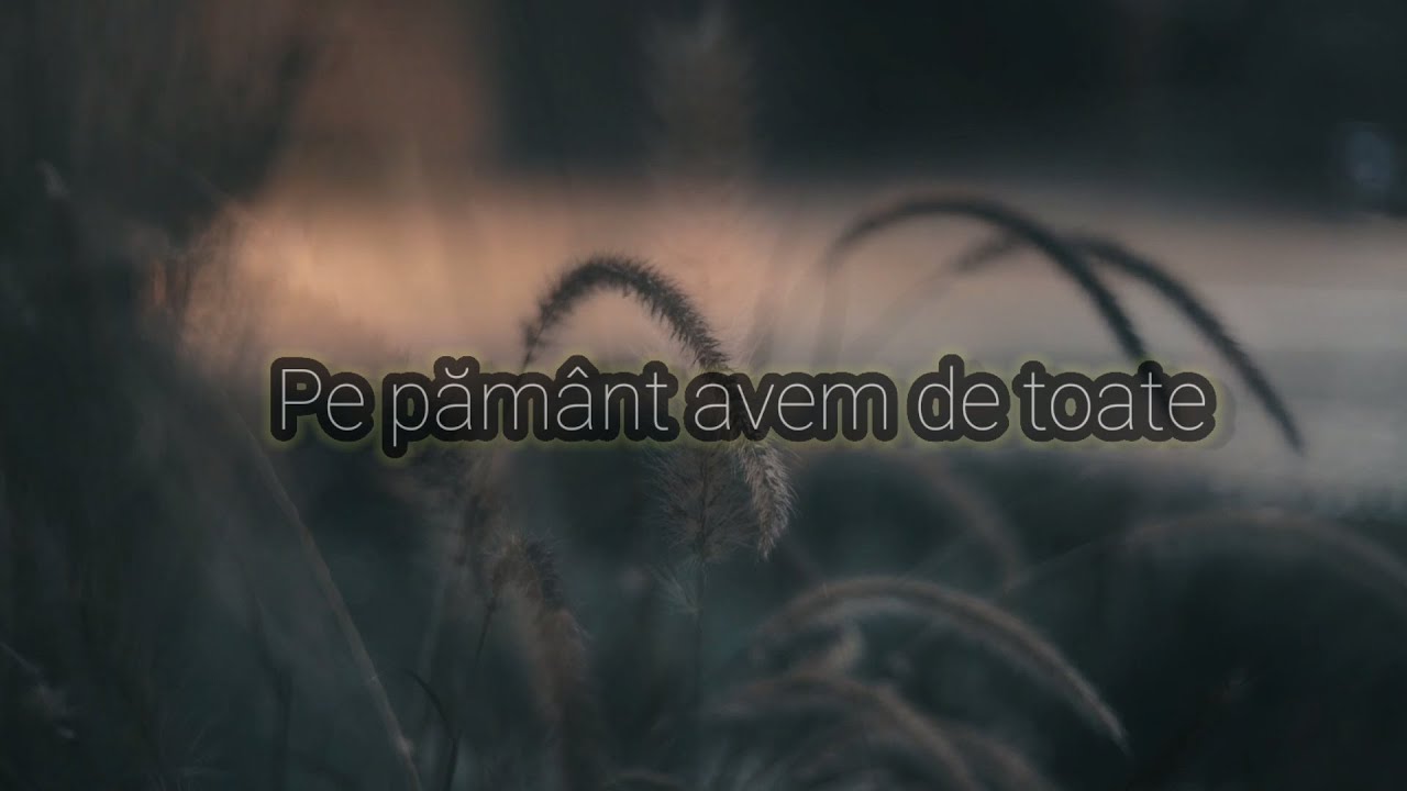 Vlad Isepciuc - Pe pamant avem de toate