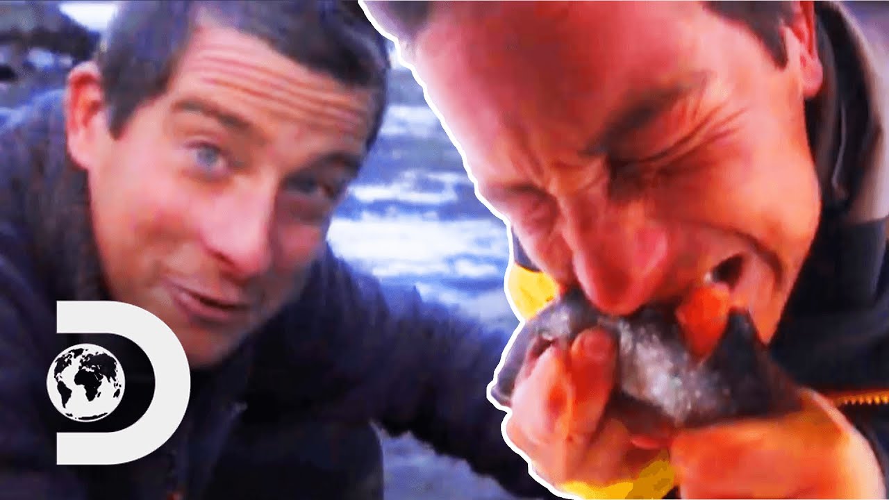 Bear Grylls Loves Eating RAW Fish | Born Survivor: Bear Grylls