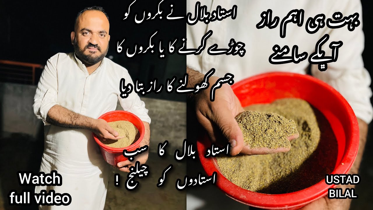 Bakre ko chora krne ya jisam kholne ka raaz fash|SAB USTAD KO CHALLENGE!|bakre ko chora krne ka raaz
