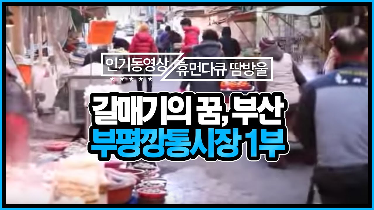 [휴먼다큐 시장사람들] 생선, 커피향기, 어묵, 김밥 전부 즐기고 싶다면! 부산 부평깡통시장 1부
