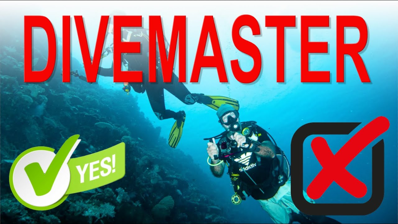 When should I become a Divemaster?