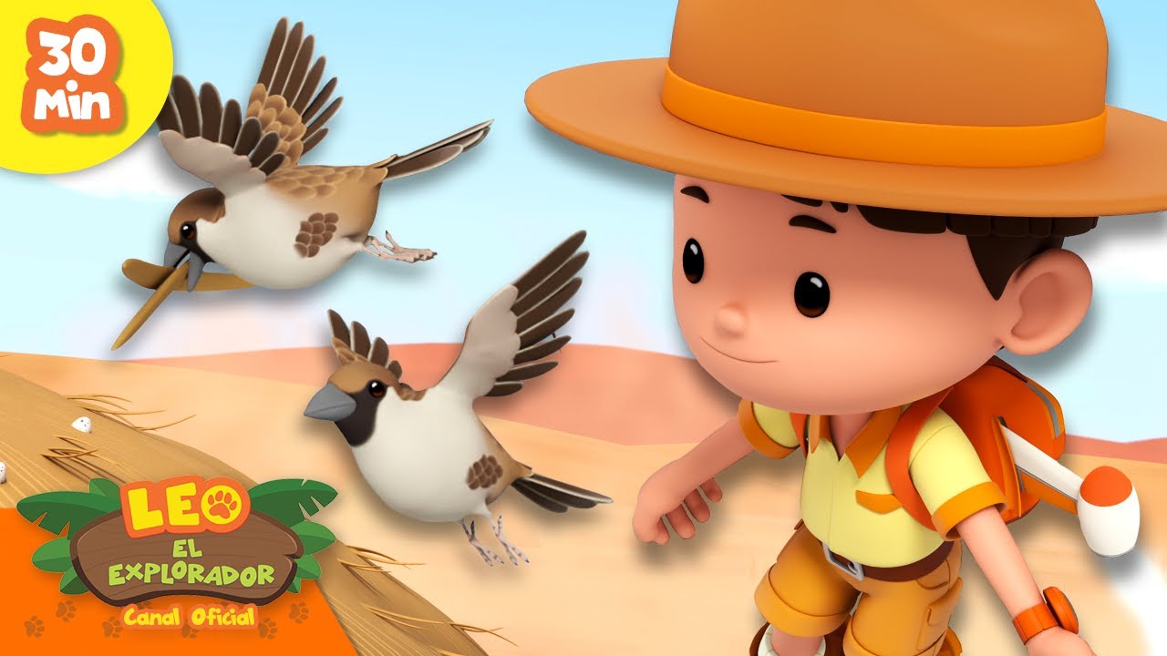¡PEQUEÑOS PÁJAROS CONSTRUYEN UN NIDO ENORME! 🪹 | Leo, El Explorador | Animación