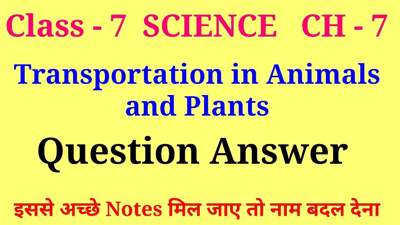 transportation in plants and animals class 7 question answer | class 7 science ch 7 question answer