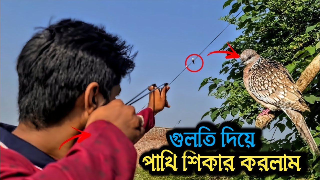 গুলতি দিয়ে পাখি শিকার 😱 | গ্রামে এখনো এসব হয়? | Real Life Bangla Vlog