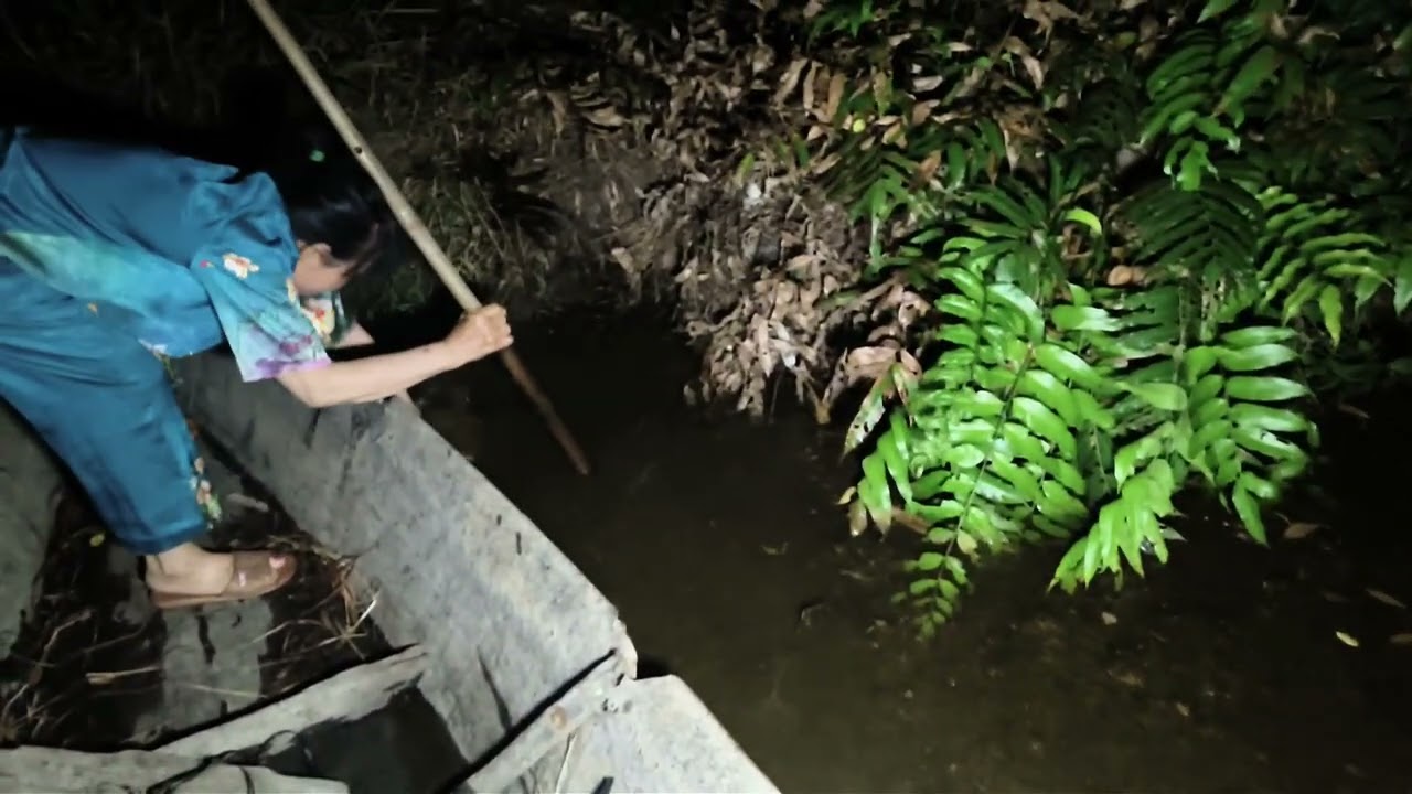 cấm câu quanh vườn