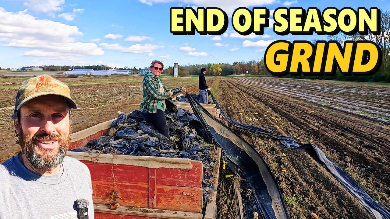 The Most Dreaded Farm Task: PLASTIC Mulch Removal!