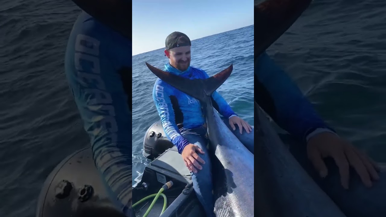 Fishing 600+ Lbs bluefin tuna on spinning reel in Atlantic!