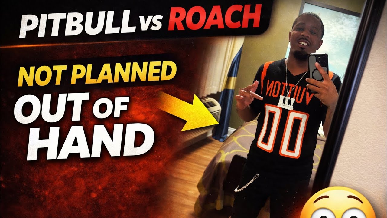 This Fight Was NOT Supposed to Happen 😳 (Pitbull vs Roach)