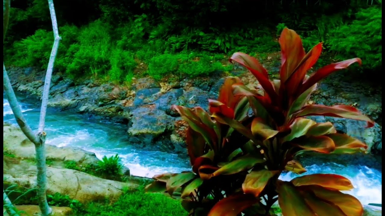 Relaxing River Sound emotional therapy to relieve stress and mental disorders for sleeping.