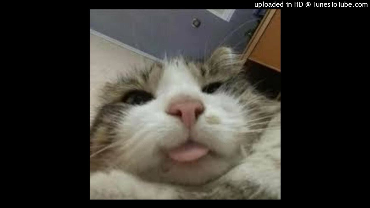 cntrcitibeat - galanye.